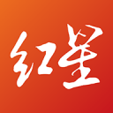 热刺官方：维卡里奥将于下周接受疝气手术，预计一个月后复出