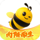 《足球天王 108名闪光的足球巨星》